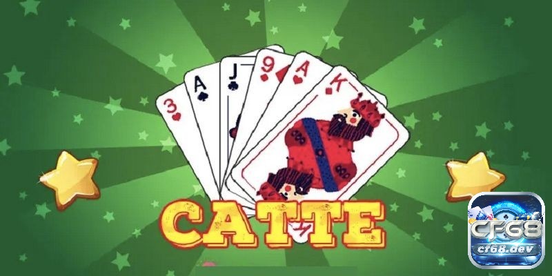 Luật chơi Catte: Hướng dẫn chi tiết cách chơi cho người mới Catte - một trò chơi bài thú vị xuất phát từ Ấn Độ