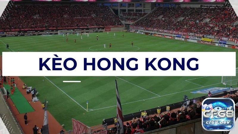 Tỷ lệ cược Hồng Kông: Cách bắt kèo Hồng Kông hiệu quả nhất Tỷ lệ cược Hồng Kông hấp dẫn mang lại cơ hội giành chiến thắng cao
