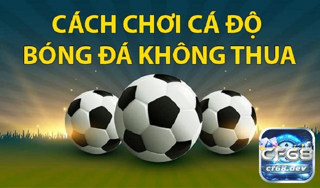 Cách chơi cá độ bóng đá không thua có tỷ lệ thắng cao nhất Cách chơi cá độ bóng đá không thua luôn giữ vững tâm lý