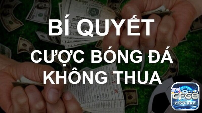 Cách chơi cá độ bóng đá không thua có tỷ lệ thắng cao nhất Cách chơi cá độ bóng đá không thua phỉa soi kèo kỹ lưỡng