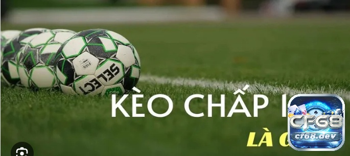 Kèo 1.5 2 là gì? Cách đọc kèo và kinh nghiệm đánh kèo 1.5 2 Tham gia kèo 1.5 2 có thể có trường hợp thắng hoặc thua nửa tiền