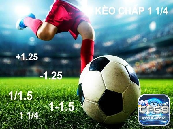 Kèo chấp 1.25 là gì? Những thông tin nổi bật về kèo chấp 1.25 Các trường hợp xảy ra trong cách chơi kèo chấp 1.25