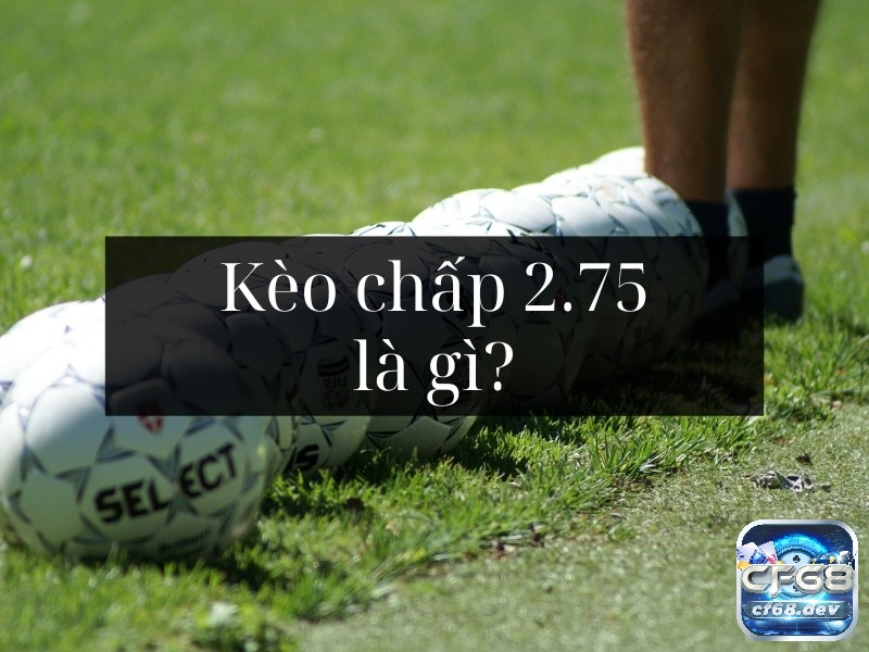 Kèo chấp 2.75 là gì? Đọc và hiểu kèo chấp 2.75 chi tiết nhất Cách tham gia Kèo chấp 2.75 chốt cược hiệu quả tối ưu chiến thắng