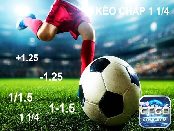 Kèo 1-1.5 là gì? Bí quyết cược kèo 1-1.5 hiệu quả nhất Hướng dẫn đọc kèo 1-1.5 dành cho tân thủ