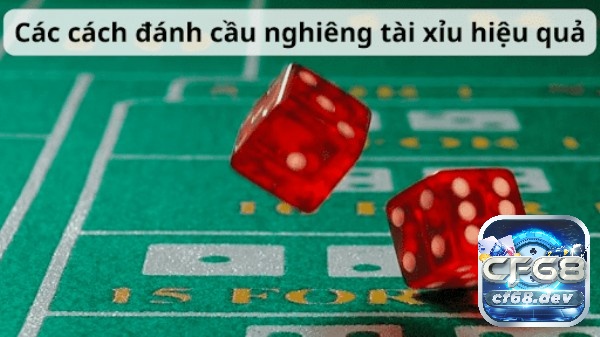 Cách đánh cầu nghiêng tài xỉu thế nào mang lại hiệu quả cao? Cách đánh cầu nghiêng tài xỉu hiệu quả