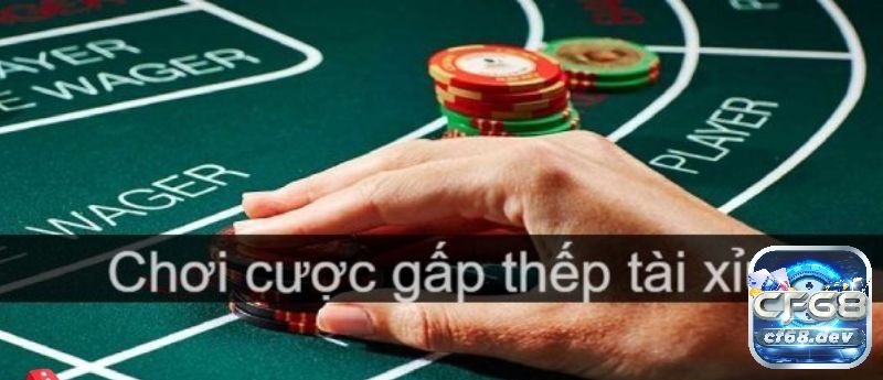 Cách đánh tài xỉu gấp thếp hiệu quả nhất cho người chơi mới Chiến thuật gấp thếp trong tài xỉu giúp tăng cơ hội gỡ vốn và đạt lợi nhuận khi kiên trì áp dụng.
