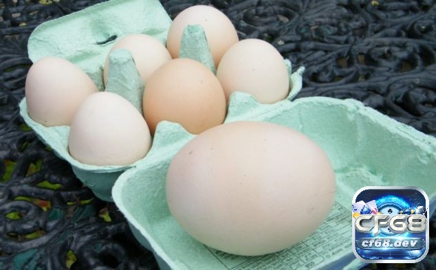 Giải mã giấc mơ thấy gà đẻ trứng hên hay xui? Đánh số mấy? Giải mã giấc mơ thấy gà đẻ trứng cho thấy bạn sẽ có những cơ hội lớn trong cuộc sống