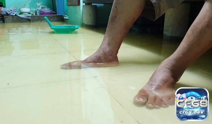 Giải mã giấc mơ thấy nước tràn vào nhà chi tiết nhất Mơ thấy nước mưa tràn vào nhà tượng trưng cho sự khởi đầu mới