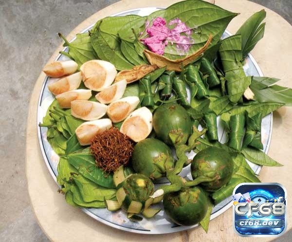 Cách tẩy giun cho gà chọi bằng hạt cau như thế nào? Cách tẩy giun cho gà chọi bằng hạt cau hiệu quả