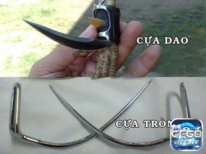 Cựa gà đá: Các loại cựa phổ biến và quan trọng nhất hiện nay Cựa gà đá mang lại sức mạnh và chiến thuật độc đáo cho từng trận đấu.