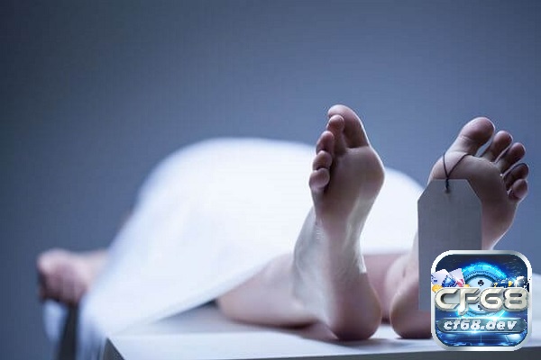 Mơ thấy mẹ chết điềm báo gì? Đánh đề con gì chuẩn xác? Mơ thấy mẹ chết chứa đựng những ẩn ý tâm linh