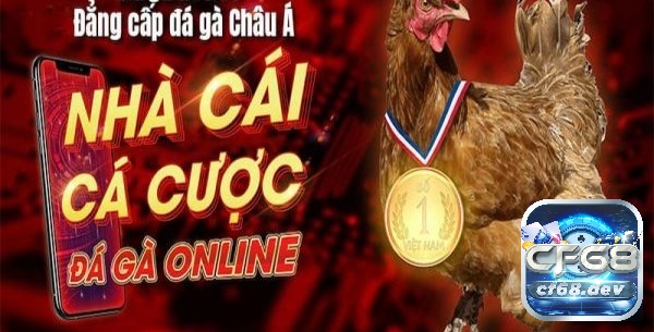 Cá cược đá gà hợp pháp ở nước ngoài: Các quốc gia hợp pháp Ưu tiên các nhà cái có giấy phép hoạt động hợp pháp để đảm bảo tính minh bạch khi tham gia cá cược đá gà hợp pháp ở nước ngoài nhé!