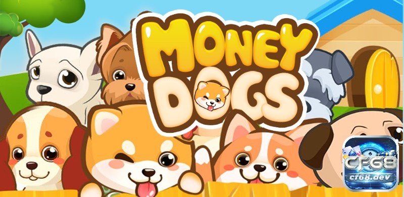Game kiếm tiền trên điện thoại hấp dẫn, chinh phục ngay Game kiếm tiền trên điện thoại Money Dog
