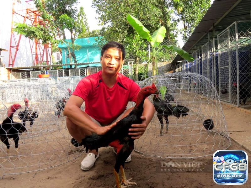 Đá gà C1 là gì? Mẹo chơi đá gà chọi C1 bất bại cho người mới Tham khảo ý kiến hữu ích từ các chuyên gia để tích lũy kiến thức và kinh nghiệm
