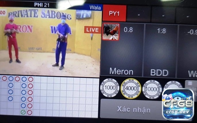 Đá gà chọi C1 - Những điều anh em cần nắm khi trải nghiệm Những ưu điểm vượt trội mà đá gà chọi C1 mang đến cho anh em cược thủ