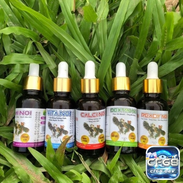 thuốc tăng lực gà đá - Cách dùng và top thuốc tăng lực hiệu quả Các bạn cần lựa chọn từng loại thuốc để gà của mình sử dụng phù hợp nhất với thể trạng của chúng