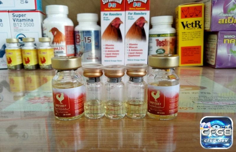 thuốc tăng lực gà đá - Cách dùng và top thuốc tăng lực hiệu quả Thuốc tăng lực gà đá là để hỗ trợ tăng cường thể trạng và hiệu suất của các chiến kê qua từng trận đấu
