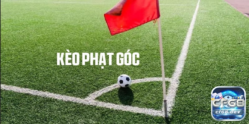 Kèo cúp quốc gia Đức là gì? Mẹo soi kèo chuẩn xác nhất 2025 Kèo phạt góc rất được ưa chuộng vì có tính chiến thuật nhất trong kèo cúp quốc gia Đức