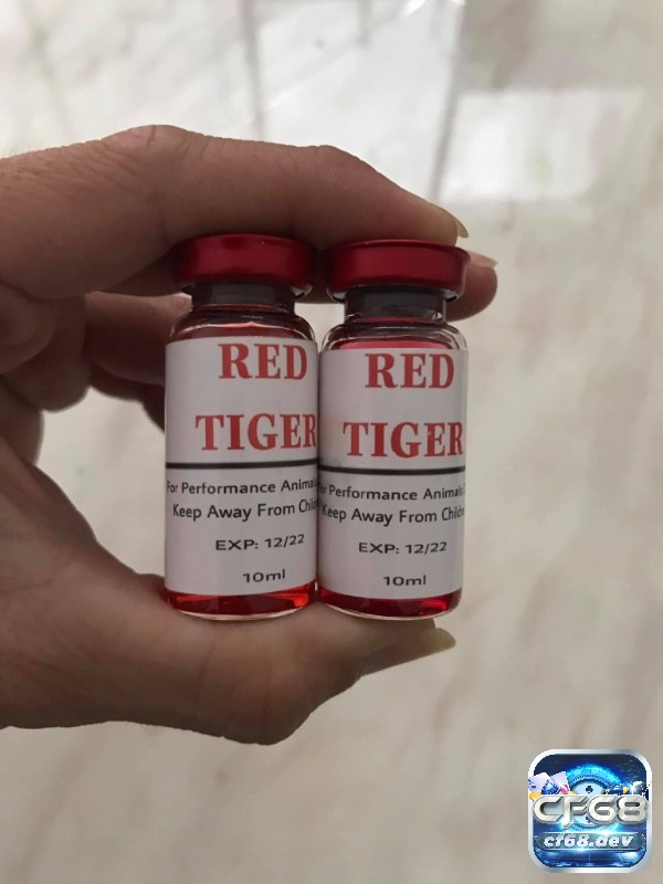 Thuốc gà đá là gì? Các loại thuốc gà đá tốt nhất 2025 Red Tiger giúp cho chiến kê tăng bo kết hợp phục hồi nhanh sau trận