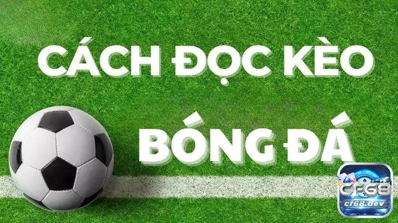 Cách đọc kèo tài xỉu: Hướng dẫn chi tiết cho người mới 2025 Trong cách đọc kèo tài xỉu có nhiều tỷ lệ cược và dạng cược quy định khác nhau