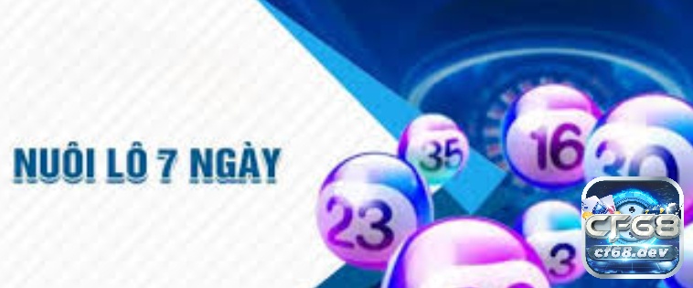 Cách nuôi lô khung 7 ngày hiệu quả - Bí quyết từ chuyên gia Bước đầu tiên trong cách nuôi lô khung 7 ngày là chọn đúng con số tiềm năng
