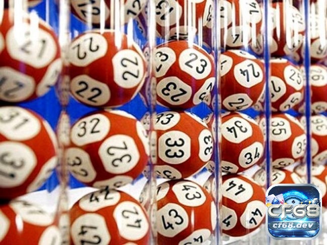 Cách nuôi lô khung 7 ngày hiệu quả - Bí quyết từ chuyên gia Cách nuôi lô khung 7 ngày cho ngày 1 ngày 2 là phân tích, quan sát và chọn số