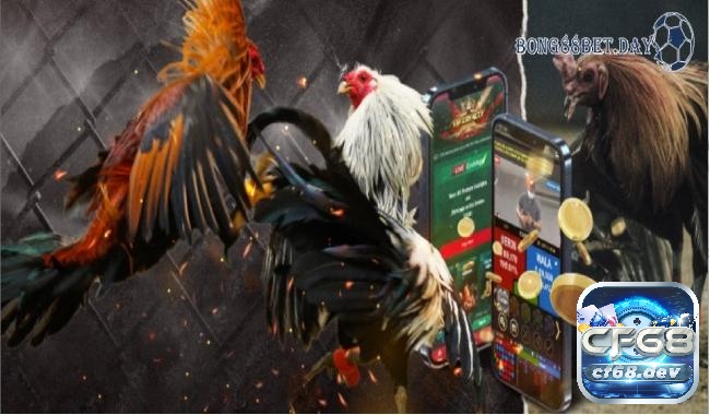 Trường gà Thomo - Hướng dẫn chi tiết và kinh nghiệm 2025 Trường gà thomo là một nền tảng trực tuyến cho phép người chơi theo dõi và tham gia vào các trận đấu gà một cách trực tiếp