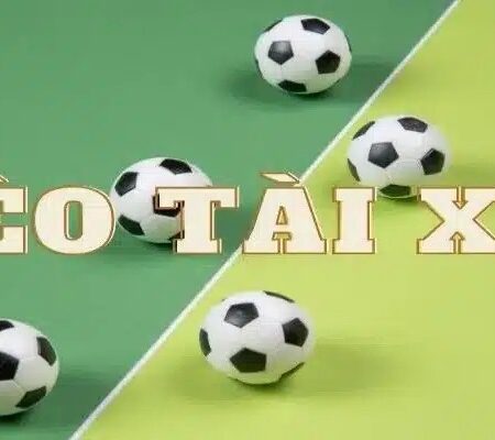 Tài xỉu 2 trái 3 4 là sao? Giải mã kèo chi tiết và cách tính tiền