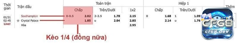 Kèo chấp 0.25 là gì? Cách hiểu đúng và tính tiền chi tiết Đội cửa trên chấp 0.25