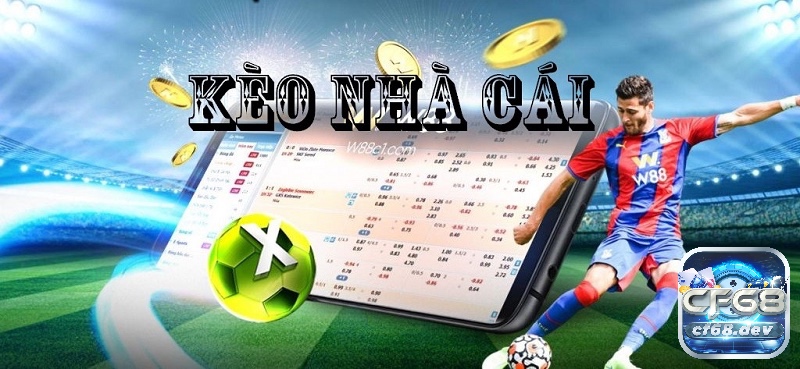 Odds format bóng đá là gì? Khám phá các định dạng tỷ lệ kèo Nhiều yếu tố như đội hình, chấn thương hay tâm lý thi đấu có thể khiến tỷ lệ kèo biến động mạnh.