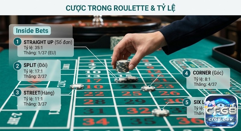 Hướng dẫn chơi Roulette Online: Mẹo & chiến thuật thắng lớn Hướng dẫn trực quan các loại cược trong Roulette (Inside Bets) với tỷ lệ trả thưởng và xác suất thắng chi tiết cho từng loại