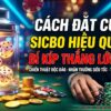 Cách đặt cược Sicbo hiệu quả: Bí kíp thắng lớn 2026
