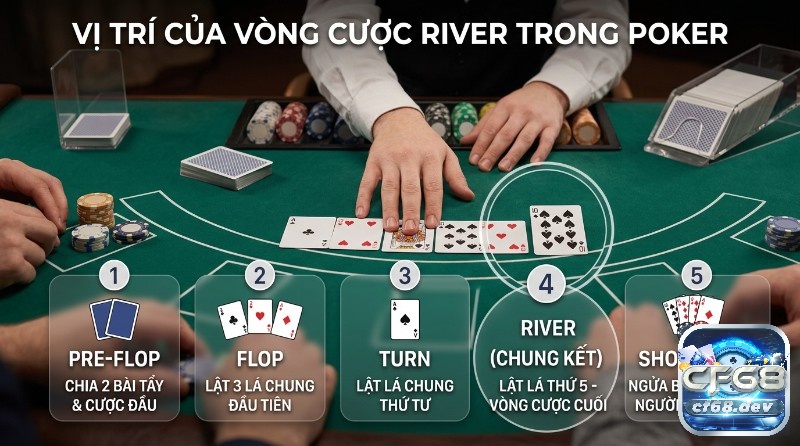 Vòng cược River là gì? Hướng dẫn dễ hiểu cho người mới chơi Vị trí, vòng cược River là gì, vòng cuối cùng sau lá bài chung thứ năm. Trình tự 5 vòng chơi: Pre-flop, Flop, Turn, River, Showdown
